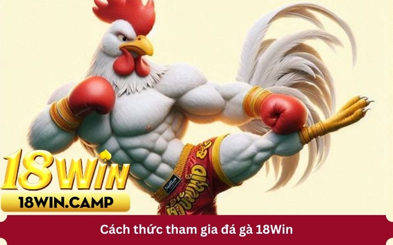 hướng dẫn tham gia đá gà 18Win