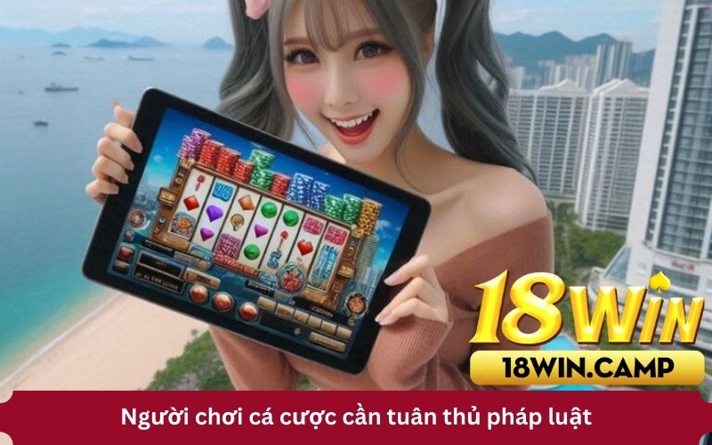 Người chơi cá cược cần tuân thủ pháp luật